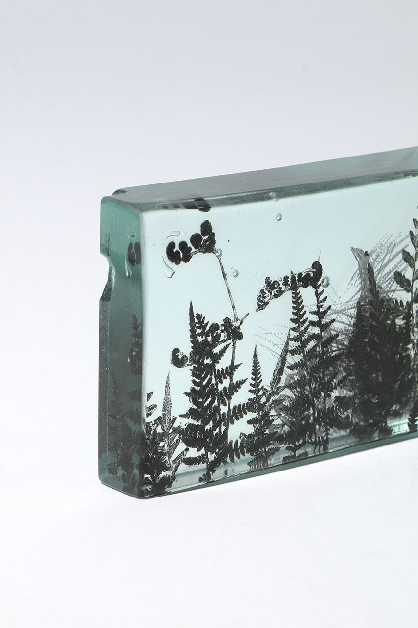【その他のブランド/Other】のBotanical Cube シダの庭 I 大人の最旬トレンドファッション＆コーディネート founy(ファウニー) 　ガラス　Glass, Glassware　新作・新入荷　New Arrivals / New In　other-4|ID: prp329100004984079 ipo3291000000037336641