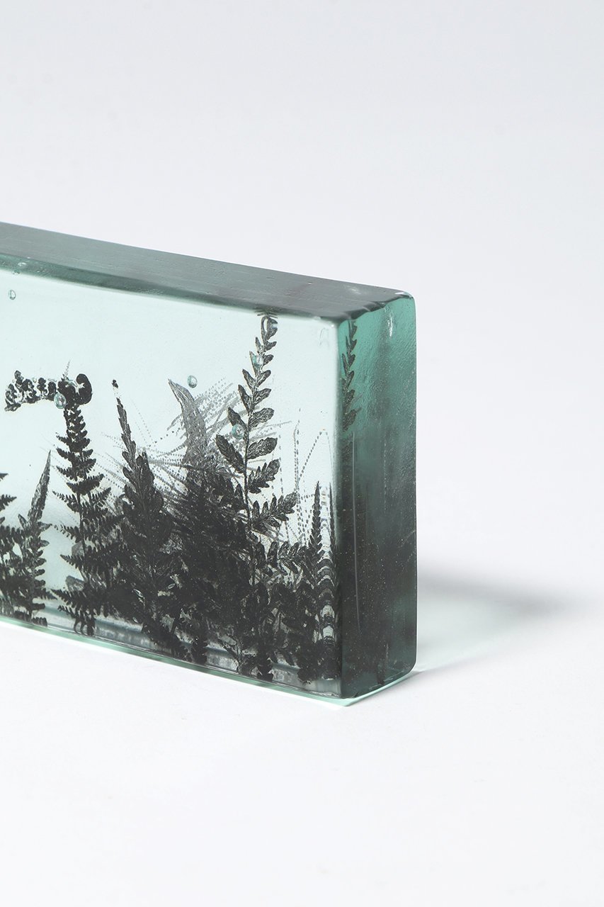 【その他のブランド/Other】のBotanical Cube シダの庭 I 大人の最旬トレンドファッション＆コーディネート founy(ファウニー) 　ガラス　Glass, Glassware　新作・新入荷　New Arrivals / New In　other-5|ID: prp329100004984079 ipo3291000000037336643