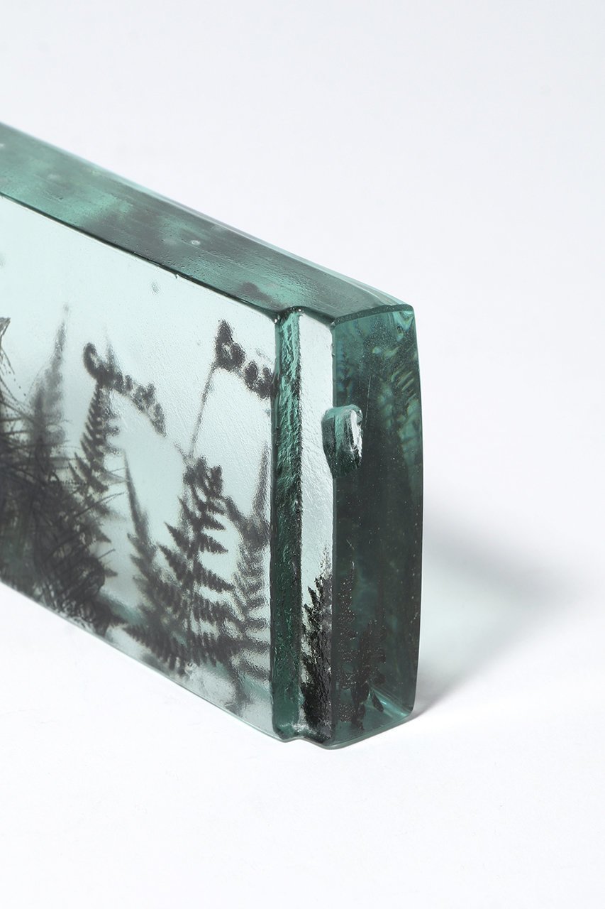 【その他のブランド/Other】のBotanical Cube シダの庭 I 大人の最旬トレンドファッション＆コーディネート founy(ファウニー) 　ガラス　Glass, Glassware　新作・新入荷　New Arrivals / New In　other-6|ID: prp329100004984079 ipo3291000000037336645