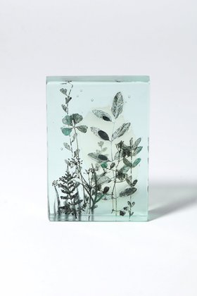 【その他のブランド/Other】のBotanical Cube Wild Flowers 大人の最旬トレンドファッション＆コーディネート founy(ファウニー) ガラス Glass, Glassware 新作・新入荷 New Arrivals / New In |ID:prp329100004984080