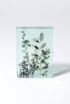 thumbnail other-1