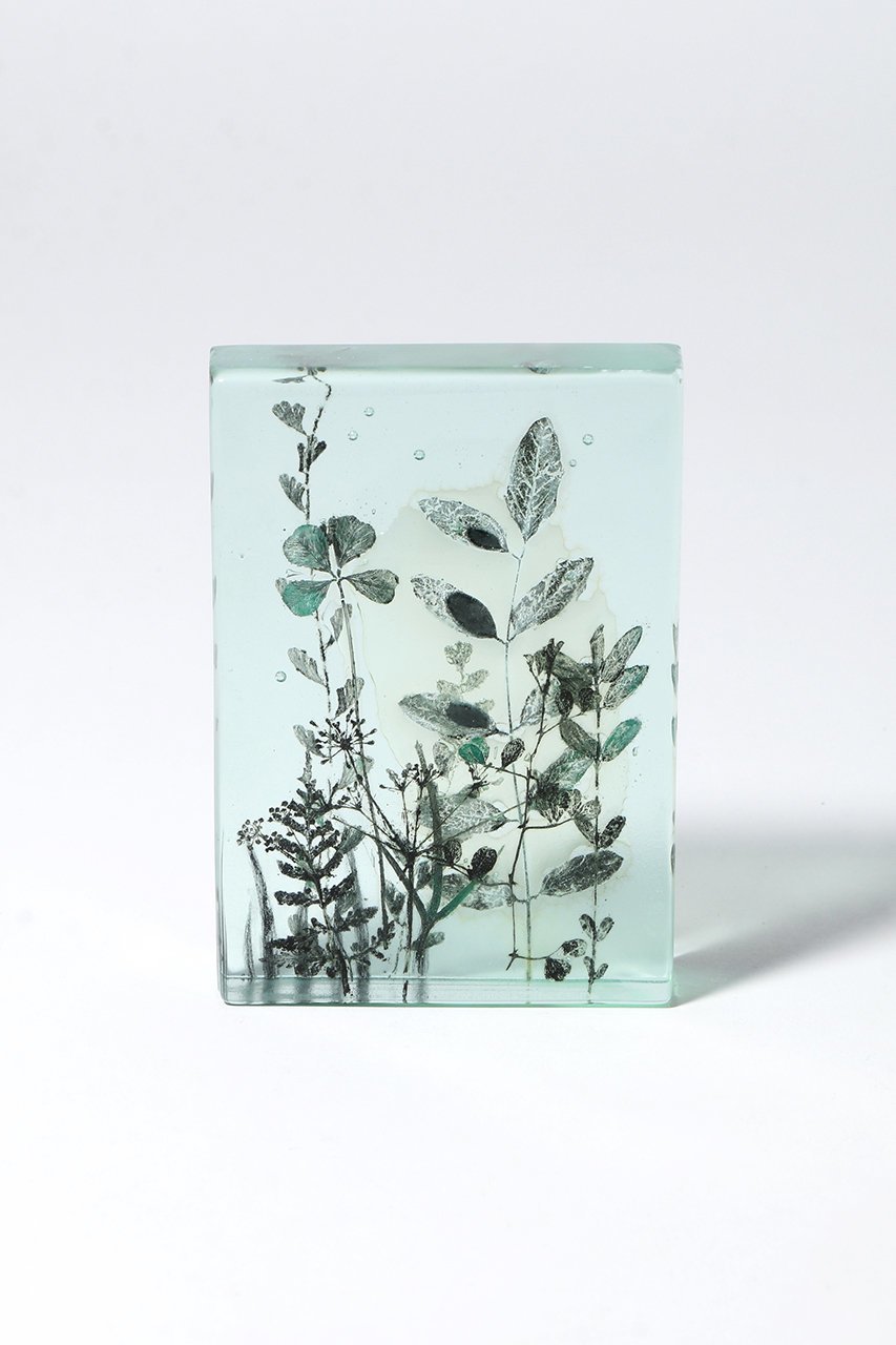 【その他のブランド/Other】のBotanical Cube Wild Flowers 大人の最旬トレンドファッション＆コーディネート founy(ファウニー) 　ガラス　Glass, Glassware　新作・新入荷　New Arrivals / New In　 other-1|ID: prp329100004984080 ipo3291000000037336652