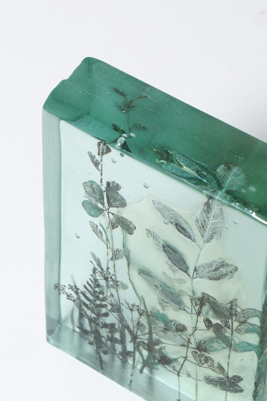 【その他のブランド/Other】のBotanical Cube Wild Flowers 大人の最旬トレンドファッション＆コーディネート founy(ファウニー) 　ガラス　Glass, Glassware　新作・新入荷　New Arrivals / New In　other-4|ID: prp329100004984080 ipo3291000000037336660
