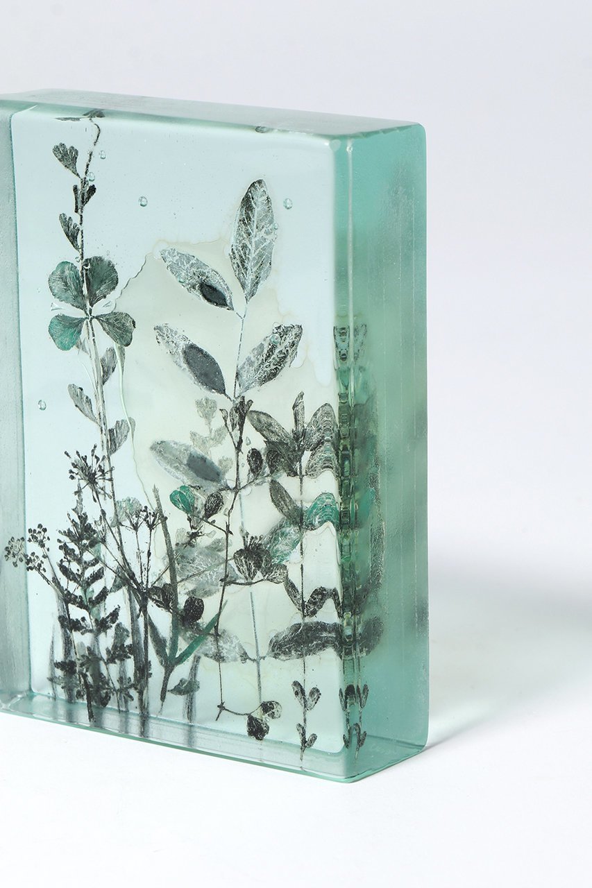 【その他のブランド/Other】のBotanical Cube Wild Flowers 大人の最旬トレンドファッション＆コーディネート founy(ファウニー) 　ガラス　Glass, Glassware　新作・新入荷　New Arrivals / New In　other-5|ID: prp329100004984080 ipo3291000000037336662