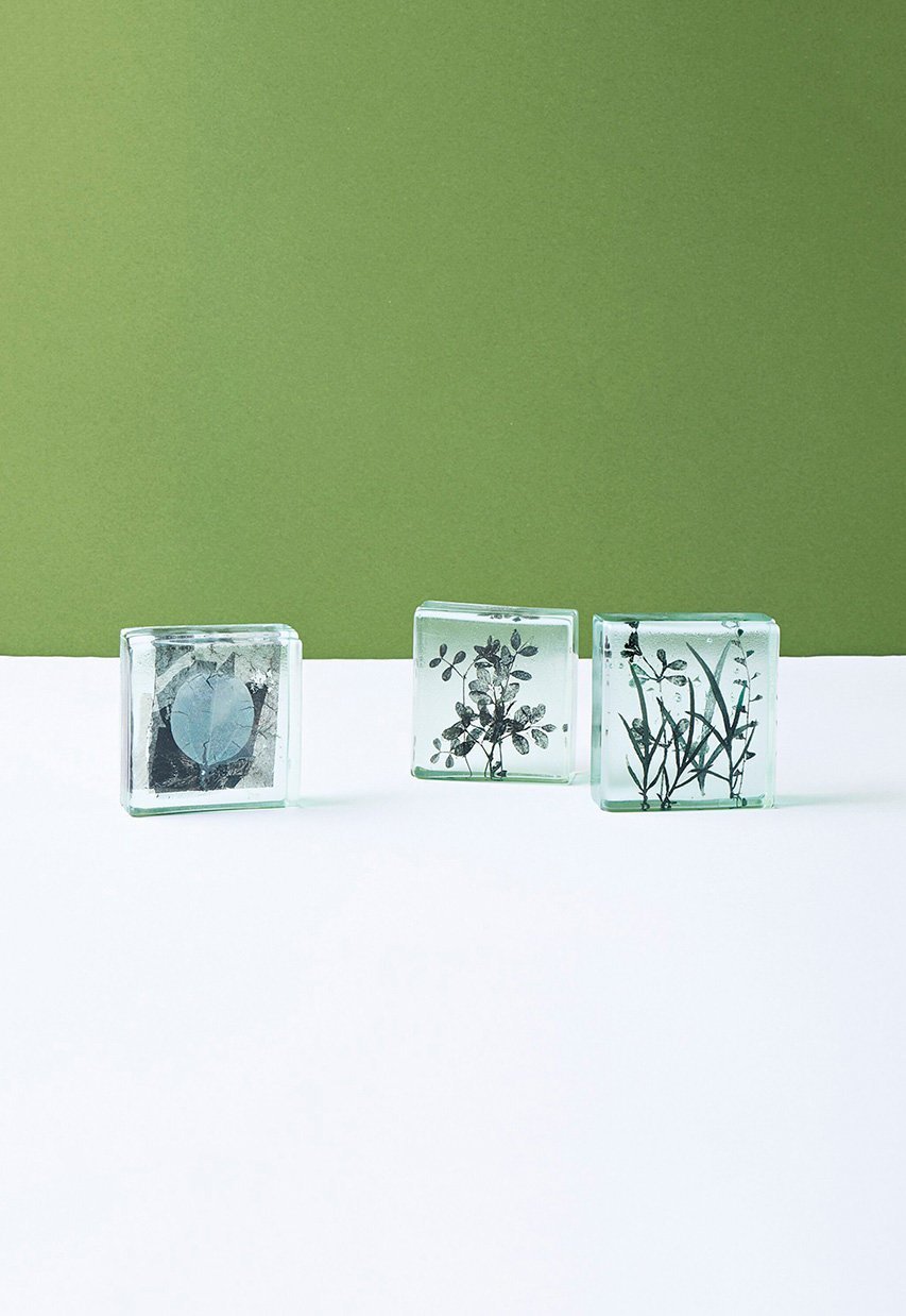 【その他のブランド/Other】のBotanical Cube Wild Flowers 大人の最旬トレンドファッション＆コーディネート founy(ファウニー) 　ガラス　Glass, Glassware　新作・新入荷　New Arrivals / New In　other-6|ID: prp329100004984080 ipo3291000000037336664