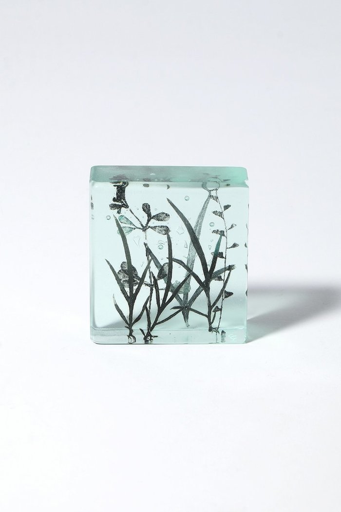 【ミエ マツバラ/Mie Matsuyama / GOODS】のBotanical Cube ヒメヨモギの季節 インテリア・キッズ・メンズ・レディースファッション・服の通販 founy(ファウニー) https://founy.com/ ガラス Glass, Glassware 新作・新入荷 New Arrivals / New In |ID: prp329100004984084 ipo3291000000037336670
