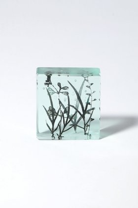 【その他のブランド/Other】のBotanical Cube ヒメヨモギの季節 大人の最旬トレンドファッション＆コーディネート founy(ファウニー) ガラス Glass, Glassware 新作・新入荷 New Arrivals / New In |ID:prp329100004984084