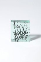 【その他のブランド/Other】のBotanical Cube ヒメヨモギの季節 大人の最旬トレンドファッション＆コーディネート founy(ファウニー) ガラス Glass, Glassware 新作・新入荷 New Arrivals / New In thumbnail -|ID: prp329100004984084 ipo3291000000037336672
