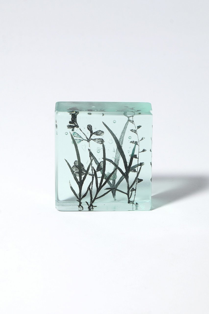 【その他のブランド/Other】のBotanical Cube ヒメヨモギの季節 インテリア・キッズ・メンズ・レディースファッション・服の通販 founy(ファウニー) 　ガラス　Glass, Glassware　新作・新入荷　New Arrivals / New In　-|ID: prp329100004984084 ipo3291000000037336672