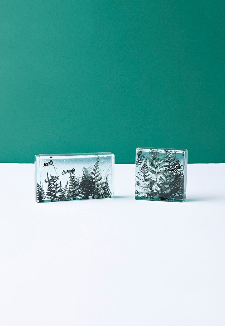 【その他のブランド/Other】のBotanical Cube ヒメヨモギの季節 大人の最旬トレンドファッション＆コーディネート founy(ファウニー) 　ガラス　Glass, Glassware　新作・新入荷　New Arrivals / New In　other-6|ID: prp329100004984084 ipo3291000000037336682