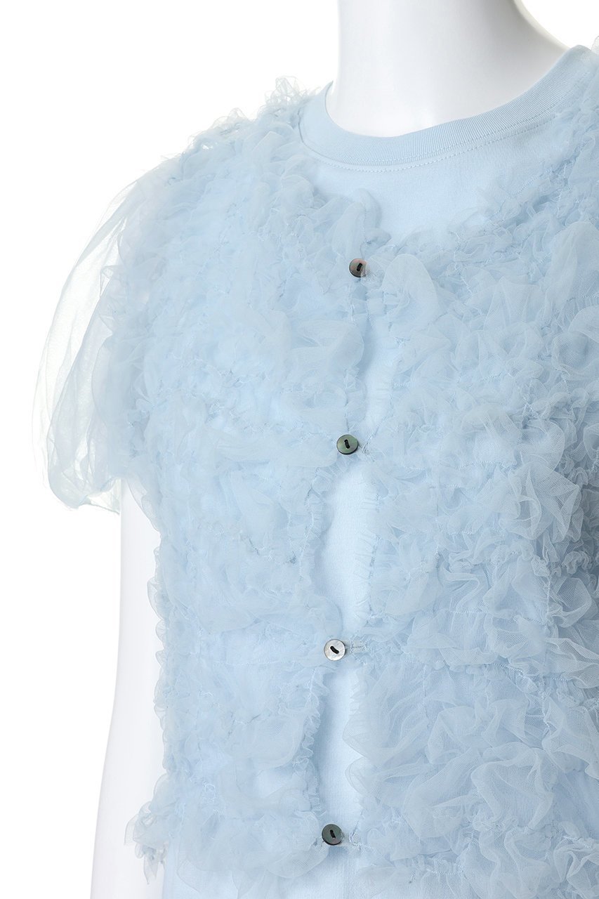 【クラネ/CLANE】のTULLE VEST LAYERED TOPS 大人の最旬トレンドファッション＆コーディネート founy(ファウニー) 　ファッション　Fashion　レディースファッション　Fashion for Women　アウター　Coat / Outerwear Collection　トップス・カットソー　Cut & Sew Tops　シャツ・ブラウス・オフィスカジュアル　Elegant Blouses & Button-Ups　ロングTシャツ・Tシャツ　Longline T-Shirts & Tees　ベスト&ジレ / 重ね着スタイル　Vests & Gilets　カットソー・ベーシックTシャツ　Cut-and-Sewn Tops / Stretch Tees & Basics　シャーリング　Shirring, Ruched　ショート　Short, Short Length　シンプル　Simple, Minimal　スリーブ　Sleeve, Long Sleeve / Short Sleeve　チュール　Tulip, Tulip Motif　バランス　Balance, Style Balance　フィット　Fit, Slim Fit　ベスト　Vest, Waistcoat　ランダム　Random, Irregular　エレガント 上品　Elegant　新作・新入荷　New Arrivals / New In　other-5|ID: prp329100004985343 ipo3291000000037343807