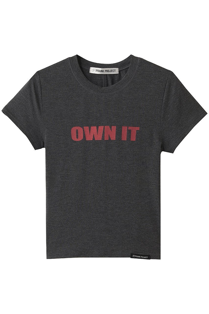 【プランク プロジェクト/PRANK PROJECT】のOWN IT Tシャツ インテリア・キッズ・メンズ・レディースファッション・服の通販 founy(ファウニー) 　ファッション　Fashion　レディースファッション　Fashion for Women　トップス・カットソー　Cut & Sew Tops　シャツ・ブラウス・オフィスカジュアル　Elegant Blouses & Button-Ups　ロングTシャツ・Tシャツ　Longline T-Shirts & Tees　カットソー・ベーシックTシャツ　Cut-and-Sewn Tops / Stretch Tees & Basics　コンパクト　Compact, Small Size　ショート　Short, Short Length　スリーブ　Sleeve, Long Sleeve / Short Sleeve　ハーフ　Half, Half-Length　新作・新入荷　New Arrivals / New In　GRY(グレー)|ID: prp329100004986999 ipo3291000000037357948