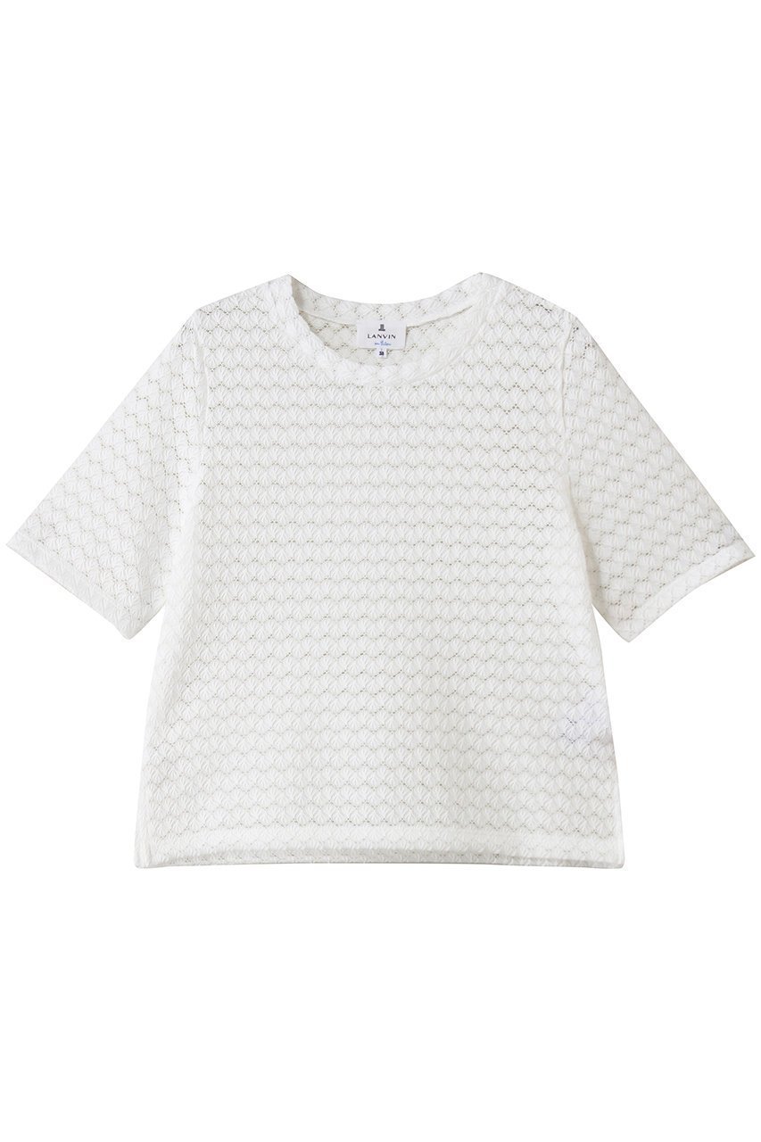 【ランバン オン ブルー/LANVIN en Bleu】のシアーレースカットソー インテリア・キッズ・メンズ・レディースファッション・服の通販 founy(ファウニー) 　ファッション　Fashion　レディースファッション　Fashion for Women　トップス・カットソー　Cut & Sew Tops　シャツ・ブラウス・オフィスカジュアル　Elegant Blouses & Button-Ups　ロングTシャツ・Tシャツ　Longline T-Shirts & Tees　カットソー・ベーシックTシャツ　Cut-and-Sewn Tops / Stretch Tees & Basics　おすすめ　Recommended / Our Picks　インナー　Innerwear　カットソー　Cut and Sewn Top　キャミソール　Camisole, Spaghetti Strap Top　コンパクト　Compact, Small Size　シアー　Sheer, See-Through　ショート　Short, Short Length　スリーブ　Sleeve, Long Sleeve / Short Sleeve　トレンド　Trend, Trending Now　レース　Lace, Lace Fabric　新作・新入荷　New Arrivals / New In　オフ|ID: prp329100004992306 ipo3291000000037387526