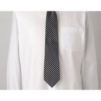 【ドレステリア/DRESSTERIOR / MEN】のフォーマルタイ 人気、トレンドファッション・服の通販 founy(ファニー) ファッション Fashion メンズファッション MEN おすすめ Recommend シルク Silk フォーマル Formal エレガント 上品 Elegant |ID:prp329100002209755