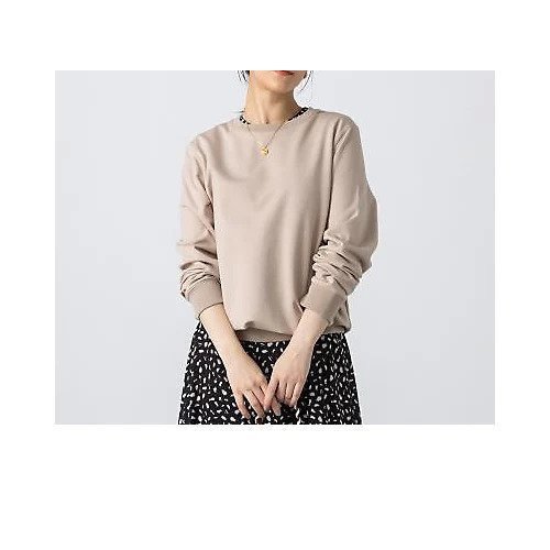 【スローン/SLOANE】のスビンギザコットン クルーネックスウェット インテリア・キッズ・メンズ・レディースファッション・服の通販 founy(ファニー) ファッション Fashion レディースファッション Fashion for Women トップス・カットソー Cut & Sew Tops レディースパーカー・カジュアルフーディー Casual Hoodies & Sweatshirts スウェット・クルーネックトップス Sweatshirts & Crewnecks / Relaxed Fit Sweat Tops おすすめ Recommended / Our Picks インナー Innerwear コンパクト Compact, Small Size シンプル Simple, Minimal 春 Spring 洗える Machine Washable ライトベージュ|ID: prp329100002244954 ipo3291000000033140647