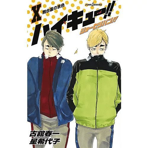 【集英社/SHUEISHA / GOODS】の【小説版】ハイキュー!! ショーセツバン!! 10 インテリア・キッズ・メンズ・レディースファッション・服の通販 founy(ファニー) https://founy.com/ 春 Spring |ID: prp329100002958862 ipo3291000000029579656