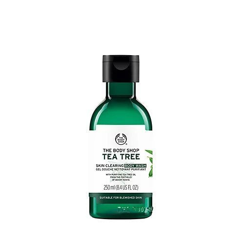 【ザボディショップ/THE BODY SHOP / GOODS】のティーツリー スキンクリアリング ボディウォッシュ 250mL インテリア・キッズ・メンズ・レディースファッション・服の通販 founy(ファニー) https://founy.com/ オイル Oil ホーム・キャンプ・アウトドア・お取り寄せ Home,Garden,Outdoor,Camping Gear ビューティー・ヘルス Beauty Health |ID: prp329100002961140 ipo3291000000026514314