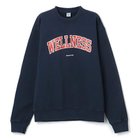 【スポーティアンドリッチ/Sporty&Rich】のWELLNESS IVY CREWNECK NAVY/SPORTS RED|ID: prp329100003000727 ipo3291000000026508275