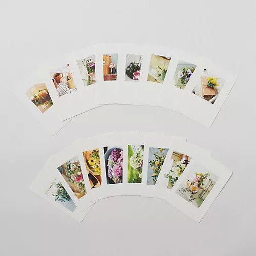 【トゥエルブクローゼット/12closet / GOODS】のPretty花ポストカード16枚セット インテリア・キッズ・メンズ・レディースファッション・服の通販 founy(ファニー) 　-|ID: prp329100003009448 ipo3291000000034942829