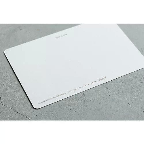 【トゥエルブクローゼット/12closet / GOODS】のBeautiful花ポストカード16枚セット 人気、トレンドファッション・服の通販 founy(ファニー) 　ロマンティック　Romantic, Feminine Style　other-3|ID: prp329100003009470 ipo3291000000034942827