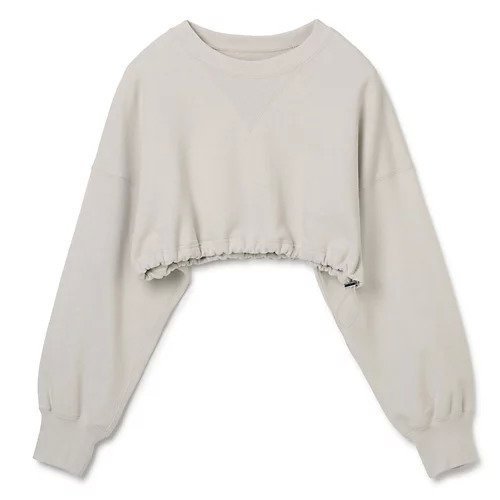 【ジェーンスミス/JANE SMITH】のSHORT CREW NECK SWEAT SHIRT インテリア・キッズ・メンズ・レディースファッション・服の通販 founy(ファニー) 　ファッション　Fashion　レディースファッション　WOMEN　トップス・カットソー　Tops/Tshirt　シャツ/ブラウス　Shirts/Blouses　パーカ　Sweats　ロング / Tシャツ　T-Shirts　スウェット　Sweat　おすすめ　Recommend　ショート　Short　洗える　Washable　ライトベージュ|ID: prp329100003009719 ipo3291000000028144242