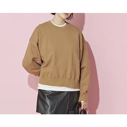 【オブラダ/Oblada】のROBIN SWEAT インテリア・キッズ・メンズ・レディースファッション・服の通販 founy(ファニー) 　ファッション　Fashion　レディースファッション　WOMEN　トップス・カットソー　Tops/Tshirt　パーカ　Sweats　スウェット　Sweat　シンプル　Simple　洗える　Washable　CAMEL|ID: prp329100003405884 ipo3291000000029317990