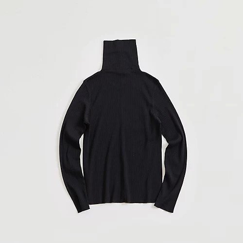 【シンゾーン/Shinzone】のHIGH NECK RIB インテリア・キッズ・メンズ・レディースファッション・服の通販 founy(ファニー) 　ファッション　Fashion　レディースファッション　WOMEN　ストレッチ　Stretch　スマート　Smart　タートル　Turtle　トレンド　Trend　フィット　Fit　定番　Standard　ブラック|ID: prp329100003508186 ipo3291000000027433620