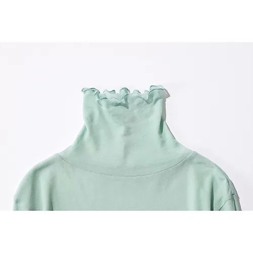 【スアデオ/suadeo】の強撚コットンシアータートルカットソー 人気、トレンドファッション・服の通販 founy(ファニー) 　ファッション　Fashion　レディースファッション　WOMEN　トップス・カットソー　Tops/Tshirt　カットソー　Cut and Sewn　おすすめ　Recommend　インナー　Inner　ベーシック　Basic　ロング　Long　冬　Winter　春　Spring　洗える　Washable　秋　Autumn/Fall　other-2|ID: prp329100003542412 ipo3291000000031304406