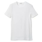 【リノ/LENO】のPETITE T-SHIRT 人気、トレンドファッション・服の通販 founy(ファニー) ファッション Fashion レディースファッション WOMEN トップス・カットソー Tops/Tshirt シャツ/ブラウス Shirts/Blouses ロング / Tシャツ T-Shirts ベーシック Basic モダン Modern 定番 Standard 洗える Washable thumbnail WHITE|ID: prp329100003843333 ipo3291000000029317694