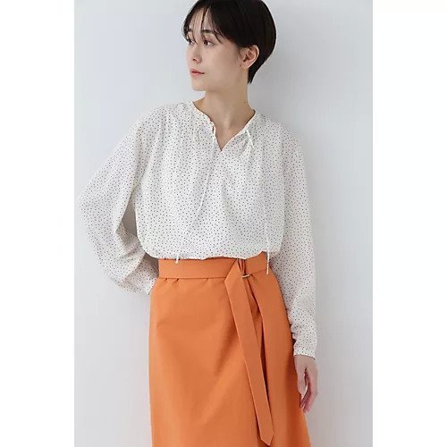 【ヒューマンウーマン/HUMAN WOMAN】のドットプリントブラウス 人気、トレンドファッション・服の通販 founy(ファニー) 　ファッション　Fashion　レディースファッション　WOMEN　トップス・カットソー　Tops/Tshirt　シャツ/ブラウス　Shirts/Blouses　おすすめ　Recommend　スタンダード　Standard　タートルネック　Turtleneck　ドット　Dot　フレンチ　French　プリント　Print　ボックス　Box　ボトム　Bottom　ランダム　Random　リボン　Ribbon　無地　Plain Color　 other-1|ID: prp329100003857627 ipo3291000000028329812