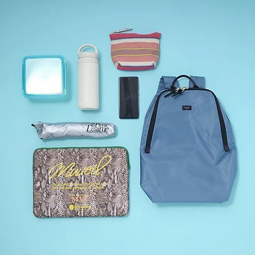 【スタンダード サプライ/STANDARD SUPPLY】の【洗える】DAYPACK 人気、トレンドファッション・服の通販 founy(ファニー) 　ファッション　Fashion　レディースファッション　Ladies' Fashion Online　おすすめ　Recommend　シンプル　Simple　ポケット　Pocket　旅行　Travel　洗える　Washable　other-2|ID: prp329100003863307 ipo3291000000032618744