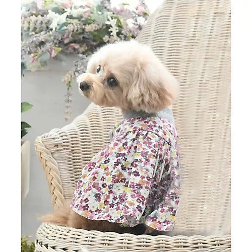 【ローラアシュレイホーム/LAURA ASHLEY HOME / GOODS】のドッグウエア インテリア・キッズ・メンズ・レディースファッション・服の通販 founy(ファニー) https://founy.com/ キャミソール Camisole ドッキング Docking ワッフル Waffle |ID: prp329100003868032 ipo3291000000029590989