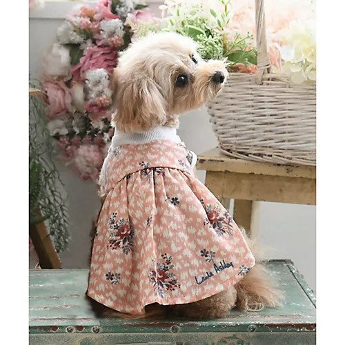 【ローラアシュレイホーム/LAURA ASHLEY HOME / GOODS】のドッグウエア インテリア・キッズ・メンズ・レディースファッション・服の通販 founy(ファニー) https://founy.com/ キャミソール Camisole ドッキング Docking ワッフル Waffle |ID: prp329100003868033 ipo3291000000029590995