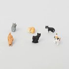 【トゥーワントゥーキッチンストア/212 KITCHEN STORE / GOODS】のミニマグネット 6個入 猫柄B 人気、トレンドファッション・服の通販 founy(ファニー) マグネット Magnet 猫 Cat thumbnail その他|ID: prp329100003881772 ipo3291000000027727843