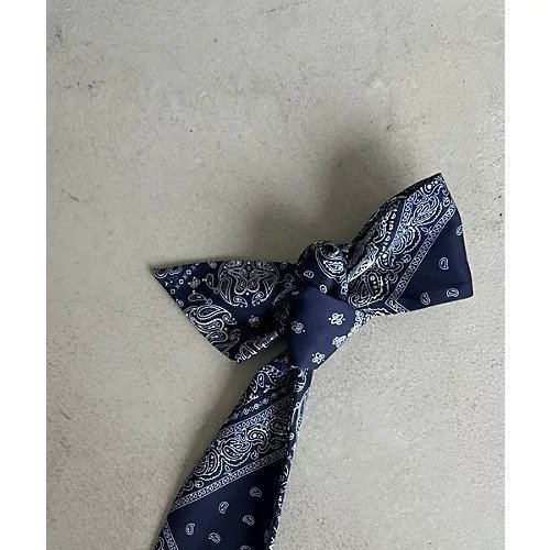 【マージュール/marjour】のPAISLEY TWILLY 人気、トレンドファッション・服の通販 founy(ファニー) 　ファッション　Fashion　レディースファッション　Fashion for Women　おすすめ　Recommended / Our Picks　スウェット / スエット　Sweatshirt, Sweatwear　チャーム　Charm, Pendant　ペイズリー　Paisley, Ethnic Pattern　other-2|ID: prp329100003912087 ipo3291000000031303011