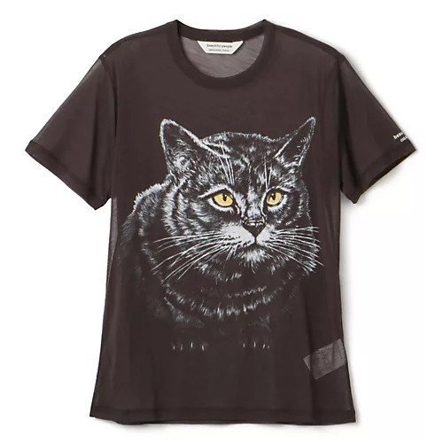 【ビューティフル ピープル/beautiful people】のsheer jersey huge cat print T-shirt インテリア・キッズ・メンズ・レディースファッション・服の通販 founy(ファニー) https://founy.com/ ファッション Fashion レディースファッション WOMEN トップス・カットソー Tops/Tshirt シャツ/ブラウス Shirts/Blouses ロング / Tシャツ T-Shirts 2024年 2024 2024春夏・S/S Ss,Spring/Summer,2024 グラフィック Graphic ストッキング Stockings 洗える Washable 猫 Cat 軽量 Lightweight |ID: prp329100003959341 ipo3291000000026100056