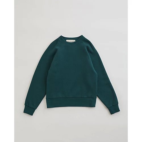 【シンゾーン/Shinzone】のCOMMON SWEAT SHIRT インテリア・キッズ・メンズ・レディースファッション・服の通販 founy(ファニー) 　ファッション　Fashion　レディースファッション　Fashion for Women　トップス・カットソー　Cut & Sew Tops　シャツ・ブラウス・オフィスカジュアル　Elegant Blouses & Button-Ups　レディースパーカー・カジュアルフーディー　Casual Hoodies & Sweatshirts　ロングTシャツ・Tシャツ　Longline T-Shirts & Tees　スウェット・クルーネックトップス　Sweatshirts & Crewnecks / Relaxed Fit Sweat Tops　シンプル　Simple, Minimal　スウェット / スエット　Sweatshirt, Sweatwear　洗える　Machine Washable　MOSS GREEN|ID: prp329100004010226 ipo3291000000032617127