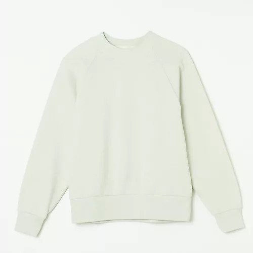 【ザシンゾーン/THE Shinzone】のCOMMON SWEAT SHIRT インテリア・キッズ・メンズ・レディースファッション・服の通販 founy(ファニー) ファッション Fashion レディースファッション Fashion for Women トップス・カットソー Cut & Sew Tops シャツ・ブラウス・オフィスカジュアル Elegant Blouses & Button-Ups レディースパーカー・カジュアルフーディー Casual Hoodies & Sweatshirts ロングTシャツ・Tシャツ Longline T-Shirts & Tees スウェット・クルーネックトップス Sweatshirts & Crewnecks / Relaxed Fit Sweat Tops シンプル Simple, Minimal スウェット / スエット Sweatshirt, Sweatwear 洗える Machine Washable 【HPS別注】MINT GREEN|ID: prp329100004010226 ipo3291000000036893413