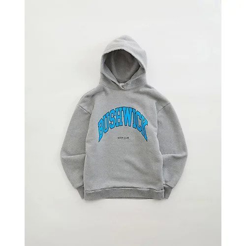 【シンゾーン/Shinzone】のBOOKCLUB HOODIE インテリア・キッズ・メンズ・レディースファッション・服の通販 founy(ファニー) 　ファッション　Fashion　レディースファッション　WOMEN　パーカー　Hoodie　GRAY|ID: prp329100004066843 ipo3291000000027411360