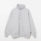 【ダイワ ピアサーティナイン/DAIWA PIER39】のW s TECH SWEAT SNAP PULLOVER TOP GRAY|ID: prp329100004115063 ipo3291000000028035625