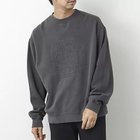 【ノーリーズ グッドマン/NOLLEY'S goodman / MEN】の【PENDLETON/ペンドルトン】Pigmentdye EMB Sweat 刺しゅうスウェット チャコールグレー|ID: prp329100004125475 ipo3291000000028173521