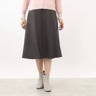 【リフレクト/Reflect】の【マシンウォッシュ可】ベーシックフレアスカート 人気、トレンドファッション・服の通販 founy(ファニー) ファッション Fashion レディースファッション WOMEN スカート Skirt Aライン/フレアスカート Flared A-Line Skirts スマート Smart パターン Pattern フィット Fit フレア Flare ベーシック Basic ポケット Pocket エレガント 上品 Elegant ビジネス 仕事 通勤 Business thumbnail ブラウン|ID: prp329100004137435 ipo3291000000028329918