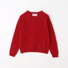 【グリーンレーベル リラクシング / ユナイテッドアローズ/green label relaxing / UNITED ARROWS】の【別注】プルオーバー ニット 人気、トレンドファッション・服の通販 founy(ファニー) ファッション Fashion レディースファッション WOMEN トップス・カットソー Tops/Tshirt ニット Knit Tops プルオーバー Pullover 秋 Autumn/Fall コンパクト Compact シンプル Simple 別注 Special Order 冬 Winter おすすめ Recommend thumbnail RED|ID: prp329100004144225 ipo3291000000028464965