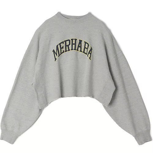 【アール ジュビリー/R JUBILEE】のSay Hello Sweat Pull Over インテリア・キッズ・メンズ・レディースファッション・服の通販 founy(ファニー) 　ファッション　Fashion　レディースファッション　WOMEN　トップス・カットソー　Tops/Tshirt　パーカ　Sweats　スウェット　Sweat　スウェット　Sweat　洗える　Washable　Top gray|ID: prp329100004144240 ipo3291000000031822188