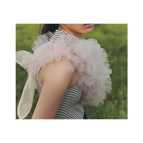 【チカ キサダ/CHIKA KISADA】 【SPURSHOP別注】チュールバッグ人気、トレンドファッション・服の通販 founy(ファニー) ファッション Fashion レディースファッション WOMEN バッグ Bag 2024年 2024 2024-2025秋冬・A/W Aw/Autumn/Winter/Fw/Fall/2024-2025 アクセサリー Accessories ジップ Zip チュール Tulle ビスチェ Bustier ロマンティック Romantic 別注 Special Order |ID:prp329100004153153