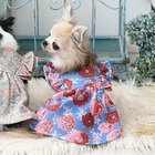 【ローラアシュレイホーム/LAURA ASHLEY HOME / GOODS】の【裏起毛/ダブルフリル】ドッグウエア 人気、トレンドファッション・服の通販 founy(ファニー) スマート Smart ダブル Double フリル Frills 人気 Popularity 冬 Winter thumbnail ブルー|ID: prp329100004170051 ipo3291000000029605040