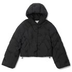 【ガニー/GANNI】のNylon Tech Puffer Short Jacket 人気、トレンドファッション・服の通販 founy(ファニー) ファッション Fashion レディースファッション WOMEN アウター Coat Outerwear ジャケット Jackets 2024年 2024 2024-2025秋冬・A/W Aw/Autumn/Winter/Fw/Fall/2024-2025 エンブロイダリー Embroidery コンパクト Compact ジップ Zip ジャケット Jacket ダウン Down フロント Front thumbnail Black|ID: prp329100004174896 ipo3291000000028927196