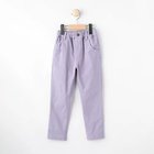 【シューラルー/SHOO LA RUE / KIDS】の【110-140cm/男女兼用】ストレッチ裏起毛パンツ 人気、トレンドファッション・服の通販 founy(ファニー) ファッション Fashion キッズファッション KIDS ボトムス Bottoms/Kids おすすめ Recommend ショート Short ストレッチ Stretch ストレート Straight スマート Smart ポケット Pocket 冬 Winter 定番 Standard thumbnail ラベンダー|ID: prp329100004183563 ipo3291000000029593039