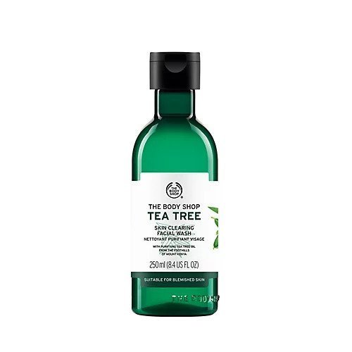 【ザボディショップ/THE BODY SHOP / GOODS】のティーツリー スキンクリアリング フェイシャルウォッシュ 250mL インテリア・キッズ・メンズ・レディースファッション・服の通販 founy(ファニー) https://founy.com/ オイル Oil ホーム・キャンプ・アウトドア・お取り寄せ Home,Garden,Outdoor,Camping Gear ビューティー・ヘルス Beauty Health |ID: prp329100004197573 ipo3291000000029077908