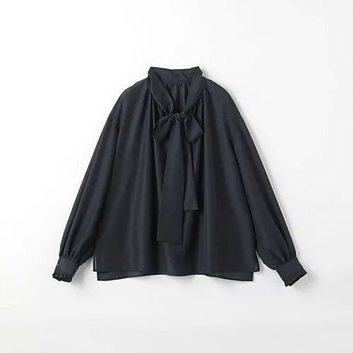 【グリーンレーベル リラクシング / ユナイテッドアローズ/green label relaxing / UNITED ARROWS】のシアー ボウタイ ブラウス インテリア・キッズ・メンズ・レディースファッション・服の通販 founy(ファニー) 　ファッション　Fashion　レディースファッション　WOMEN　トップス・カットソー　Tops/Tshirt　シャツ/ブラウス　Shirts/Blouses　インナー　Inner　秋　Autumn/Fall　シアー　Sheer　ジャケット　Jacket　ドット　Dot　フェミニン　Feminine　冬　Winter　おすすめ　Recommend　エレガント 上品　Elegant　ビジネス 仕事 通勤　Business　NAVY|ID: prp329100004248079 ipo3291000000029478324